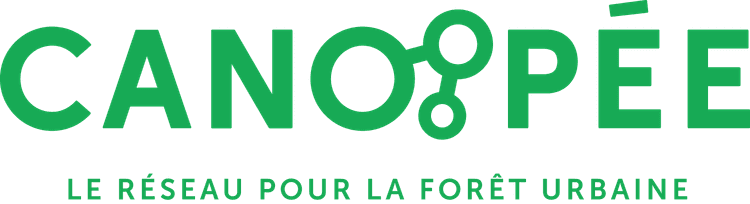 Canopée